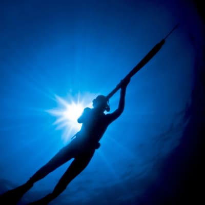 SPEARFISHING